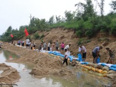 河南省南阳市南召县四棵树乡：干群合力加固河堤