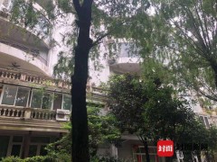 老旧小区加装电梯再起纠纷：一楼住户不同意 把楼上住户都告了