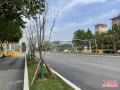 郑州市“一环十横十纵”主干道加固改造共21条路 4条道路计划6月底完工