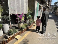 武汉青山区新沟桥街道：老旧小区换新颜 共同缔造惠民生