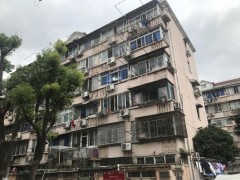 改造老旧小区、建设网红街区  浦东塘桥这样打造样板社区